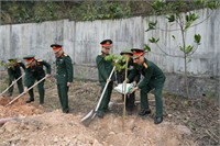 Công ty Cảng tổ chức Lễ phát động “Tết trồng cây đời đời nhớ ơn Bác Hồ” nhân dịp Xuân Ất Tỵ năm 2025.
