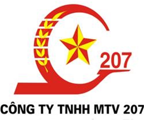 Công ty TNHH MTV 207