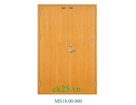 Cửa thép hai cánh MS.18