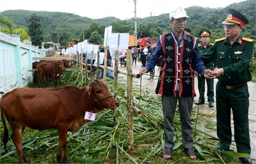 Trao bò, heo giống tặng 36 hộ gia đình tại huyện Nam Giang, tỉnh Quảng Nam